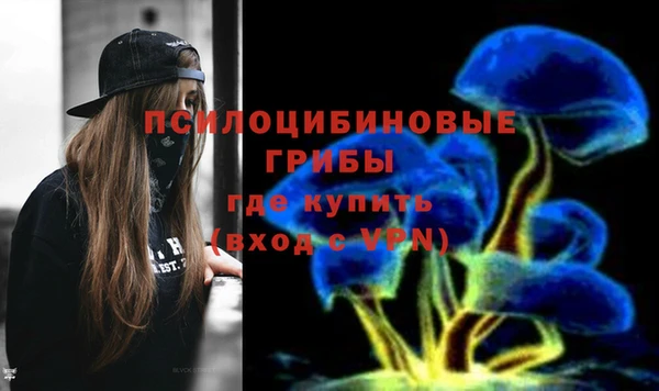 шишки Карпинск
