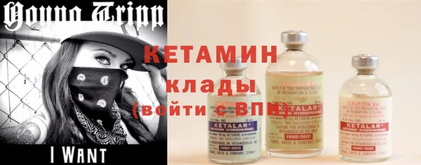 шишки Карпинск