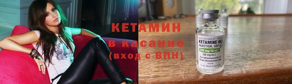 шишки Карпинск