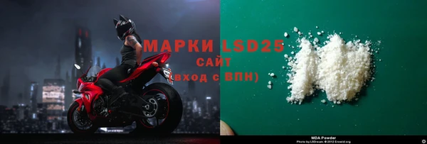 шишки Карпинск