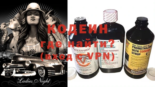 шишки Карпинск