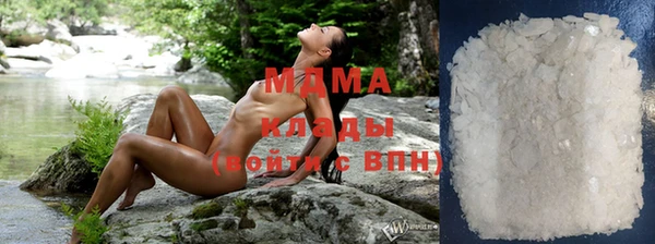 шишки Карпинск