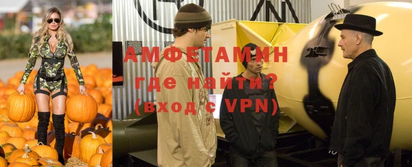 шишки Карпинск