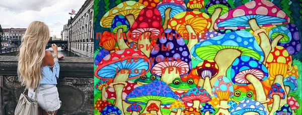 шишки Карпинск