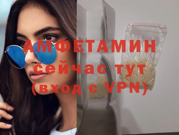 шишки Карпинск