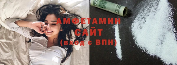 шишки Карпинск
